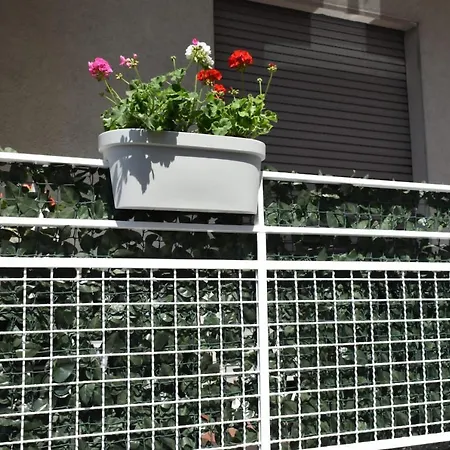 Apartment Casa Vacanze Serena